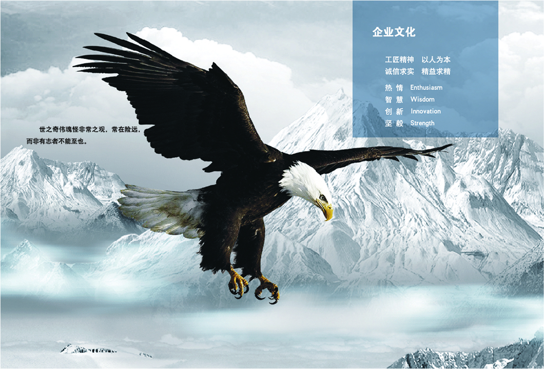 企业文化